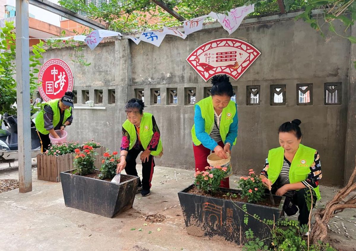 楼院“花式”微提升  “小角落”变“小花园”