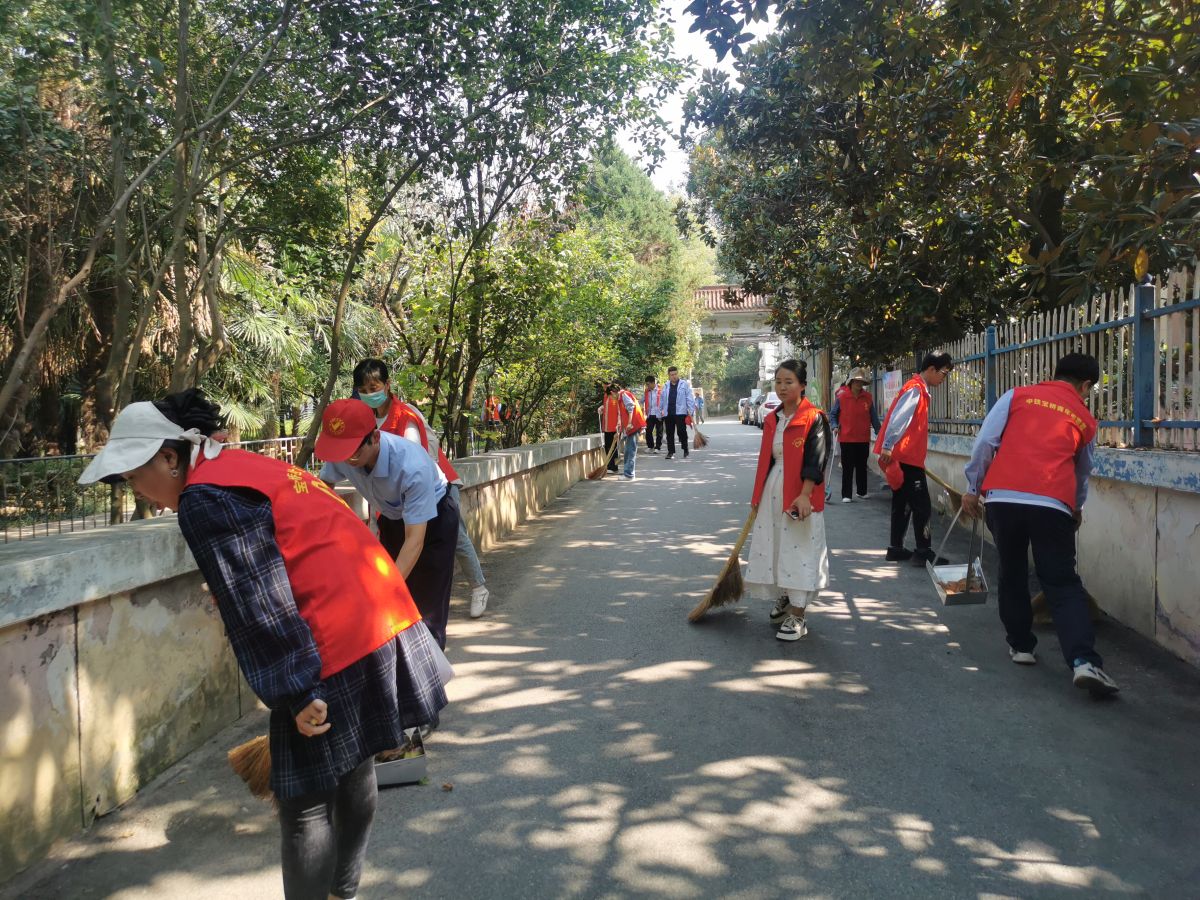 环境卫生整治志愿服务