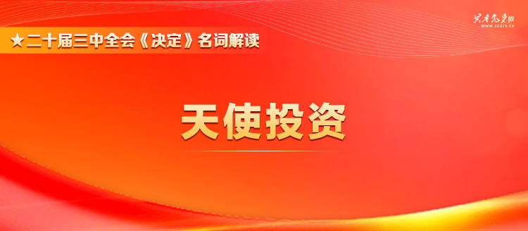 二十届三中全会《决定》名词解读 | 天使投资