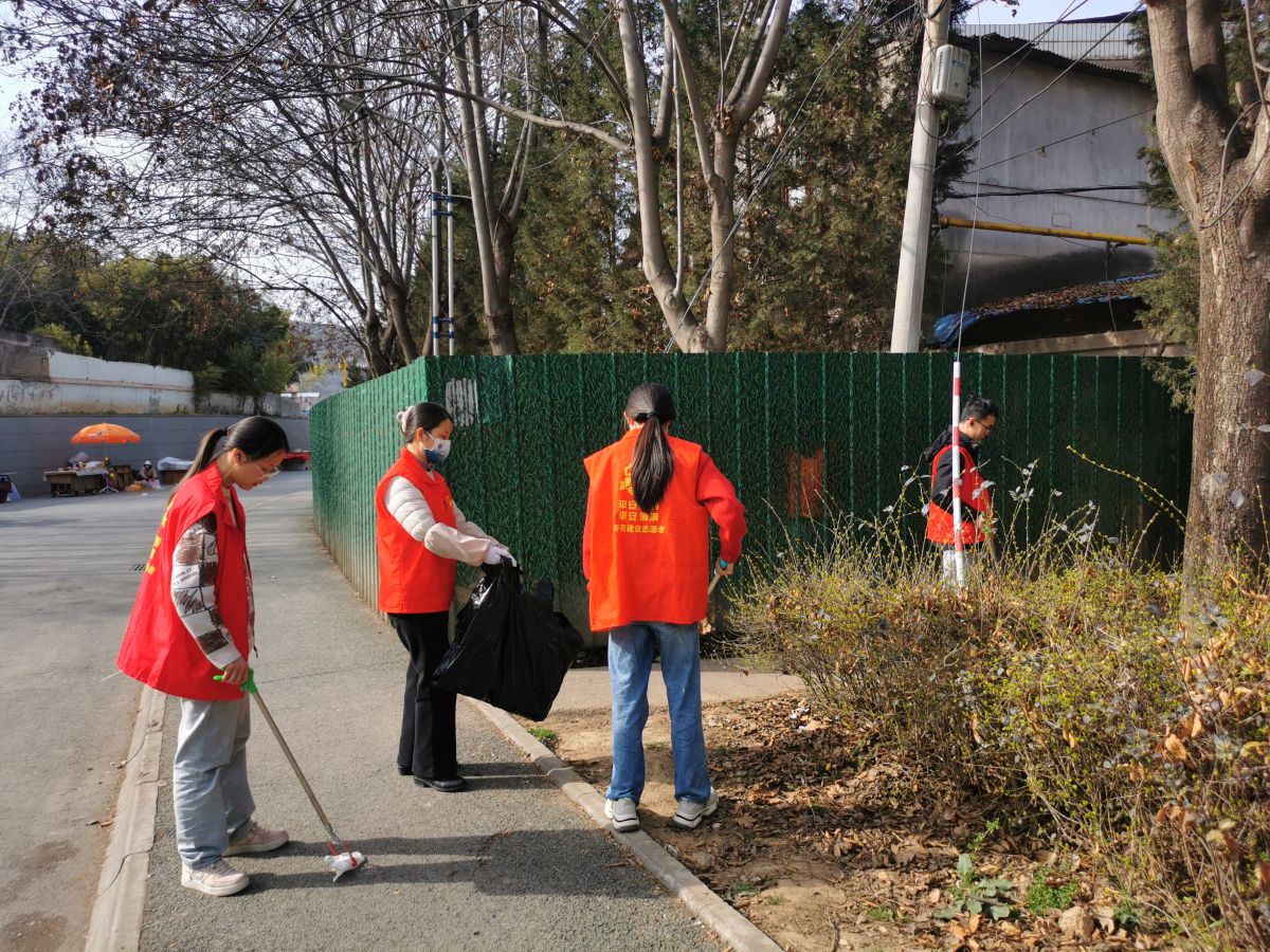 环境卫生整治志愿服务