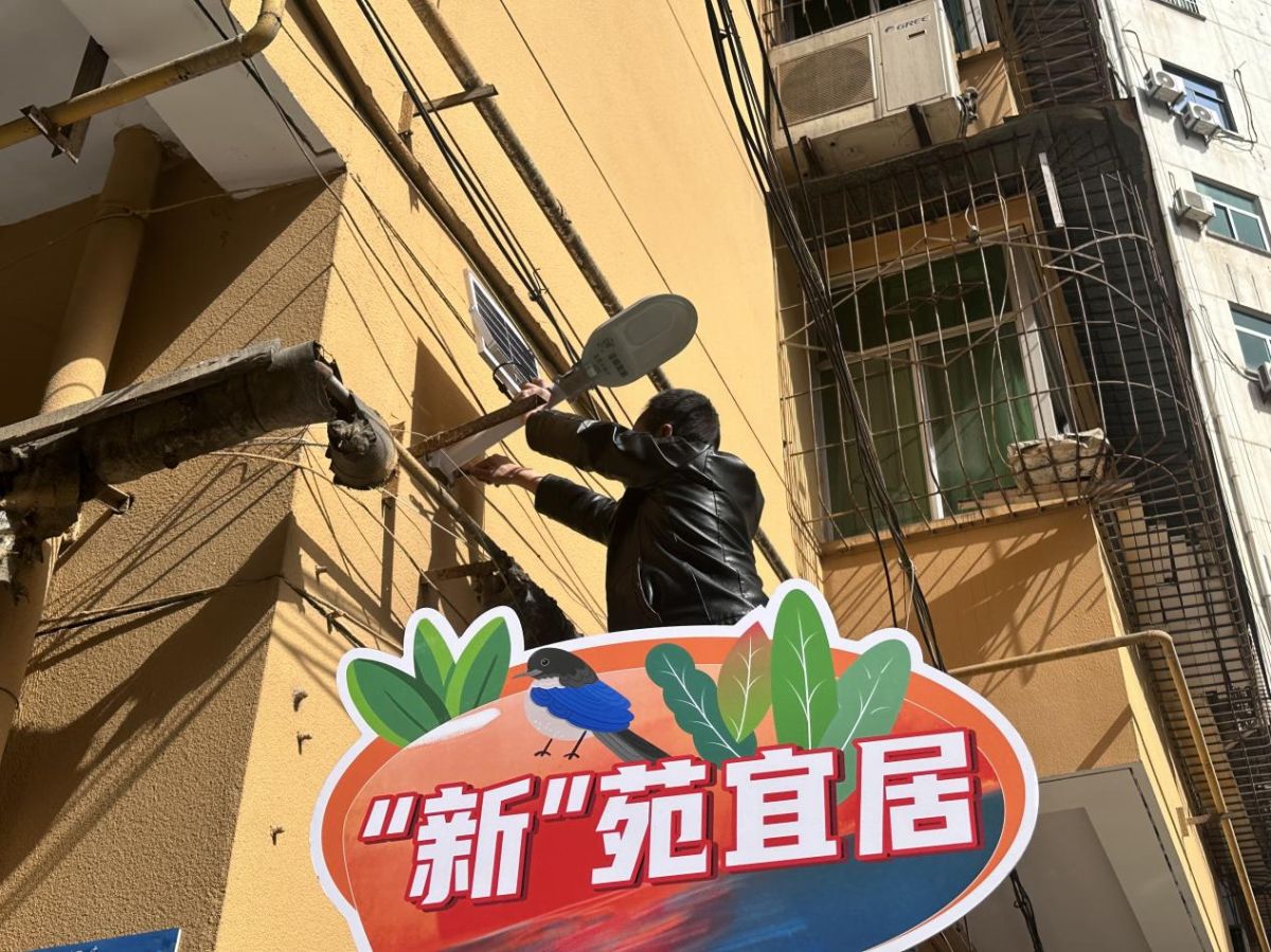 【红色暖阳项目】二：微光成炬暖千户┃新民路社区“红色暖阳”项目点亮万家灯火