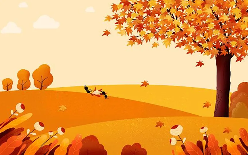 银龄健康—老年人养生保健基础知识